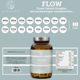 FLOW joint complex