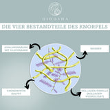 FLOW joint complex