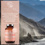 Qidosha_Hericium_Glas_Bild_nr7_