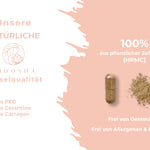 Qidosha_Hericium_Kapseln_