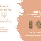 Qidosha_Maitake_Kapseln_9CY1svdgqO83k