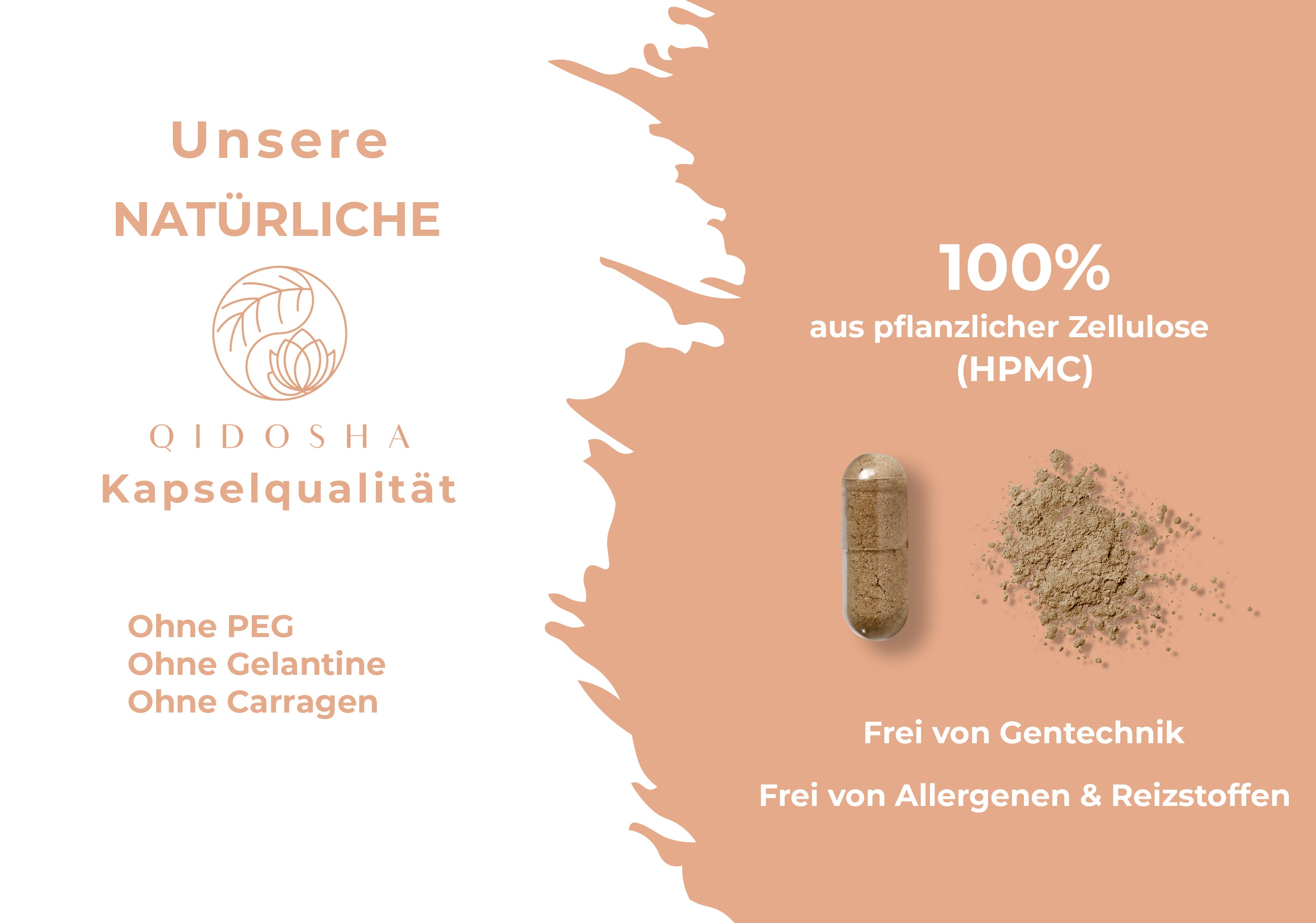 Qidosha_Maitake_Kapseln_9CY1svdgqO83k