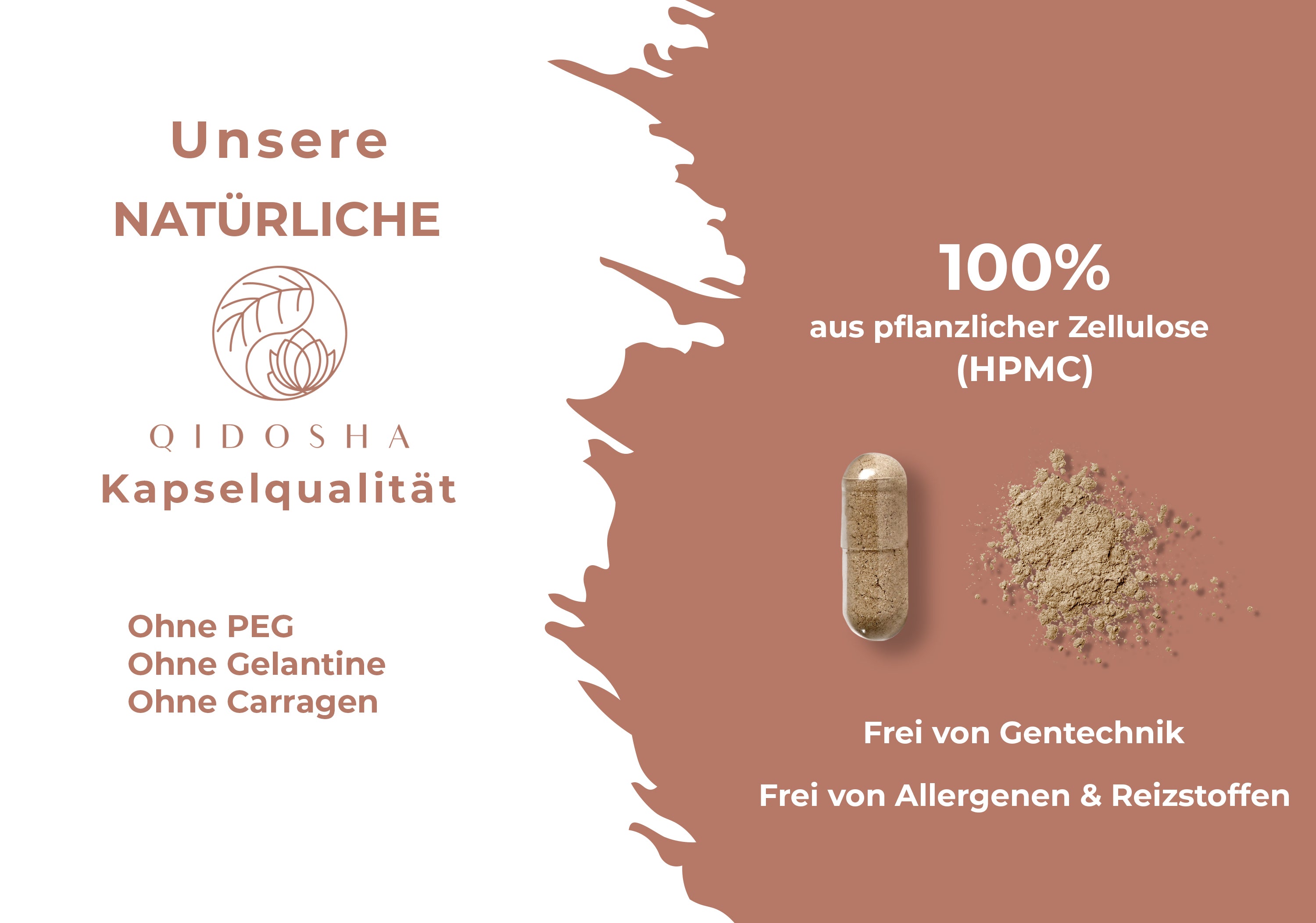 Qidosha_Mandelpilz_KapselnViYOsVcKAxITT