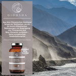 Qidosha_Reishi_Glas_Bild_nr7_