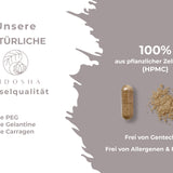 Qidosha_Reishi_Kapsel_