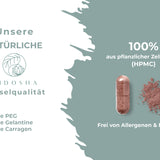 Complexe oculaire SHARP VISION // à partir du 19 décembre à nouveau disponible