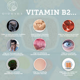 Complexe oculaire SHARP VISION // à partir du 19 décembre à nouveau disponible