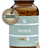 Braunes Glas mit 120 veganen QIDOSHA SHIELD-Kapseln. Premium Nahrungsergänzungsmittel, laborgeprüft, ohne Zusatzstoffe, mit ayurvedischen und TCM-Extrakten, produziert in Deutschland.
