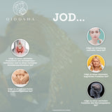 BOUCLIER dans un verre