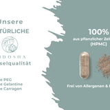 BOUCLIER dans un verre