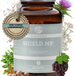 MB SHIELD Nahrungsergänzungsmittel in einem dunklen Glasgefäß, enthält 120 vegane Kapseln. Premium, laborgeprüfte Qualität, ohne Füllstoffe, mit pflanzlichen Extrakten und Selen.
