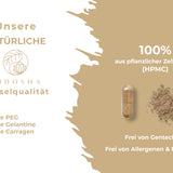 Qidosha_SHIITAKE_Kapseln