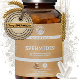 Spermidin aus Weizenkeim-Extrakt im Glas, 120 vegane Kapseln, 3,3 mg Spermidin pro Kapsel, hohe Premium-Qualität, nachhaltig, laborgeprüft, ohne Füllstoffe, produziert in Deutschland.