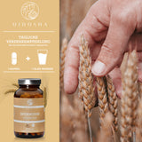 Spermidine from wheat germ extract with 3.3mg spermidine per capsule