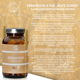 Spermidine from wheat germ extract with 3.3mg spermidine per capsule