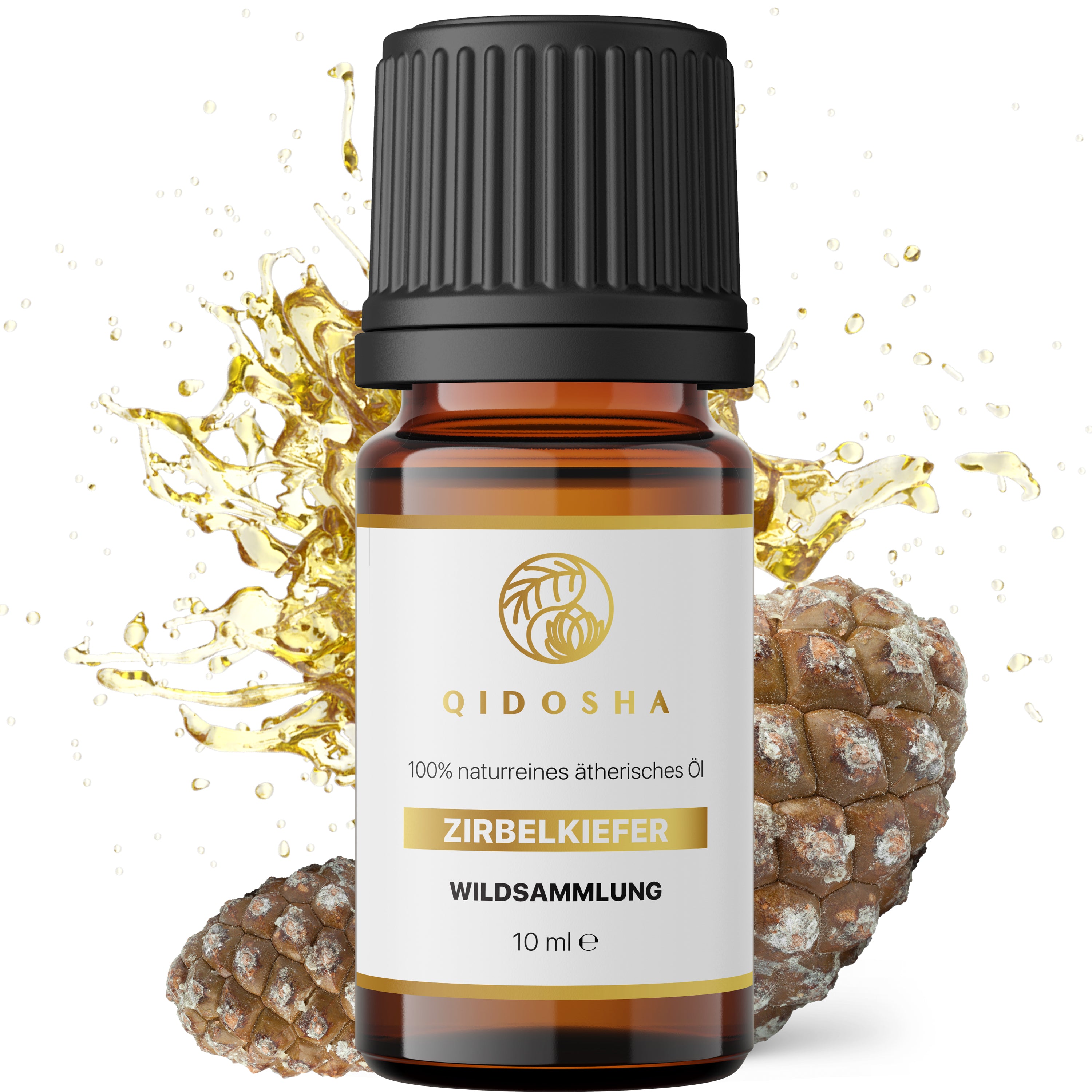 ZIRBELKIEFER_Bild_nr1