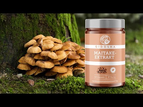Εκχύλισμα Maitake