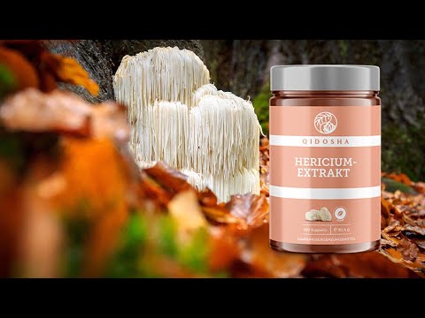 Hericium extract in a refill bag